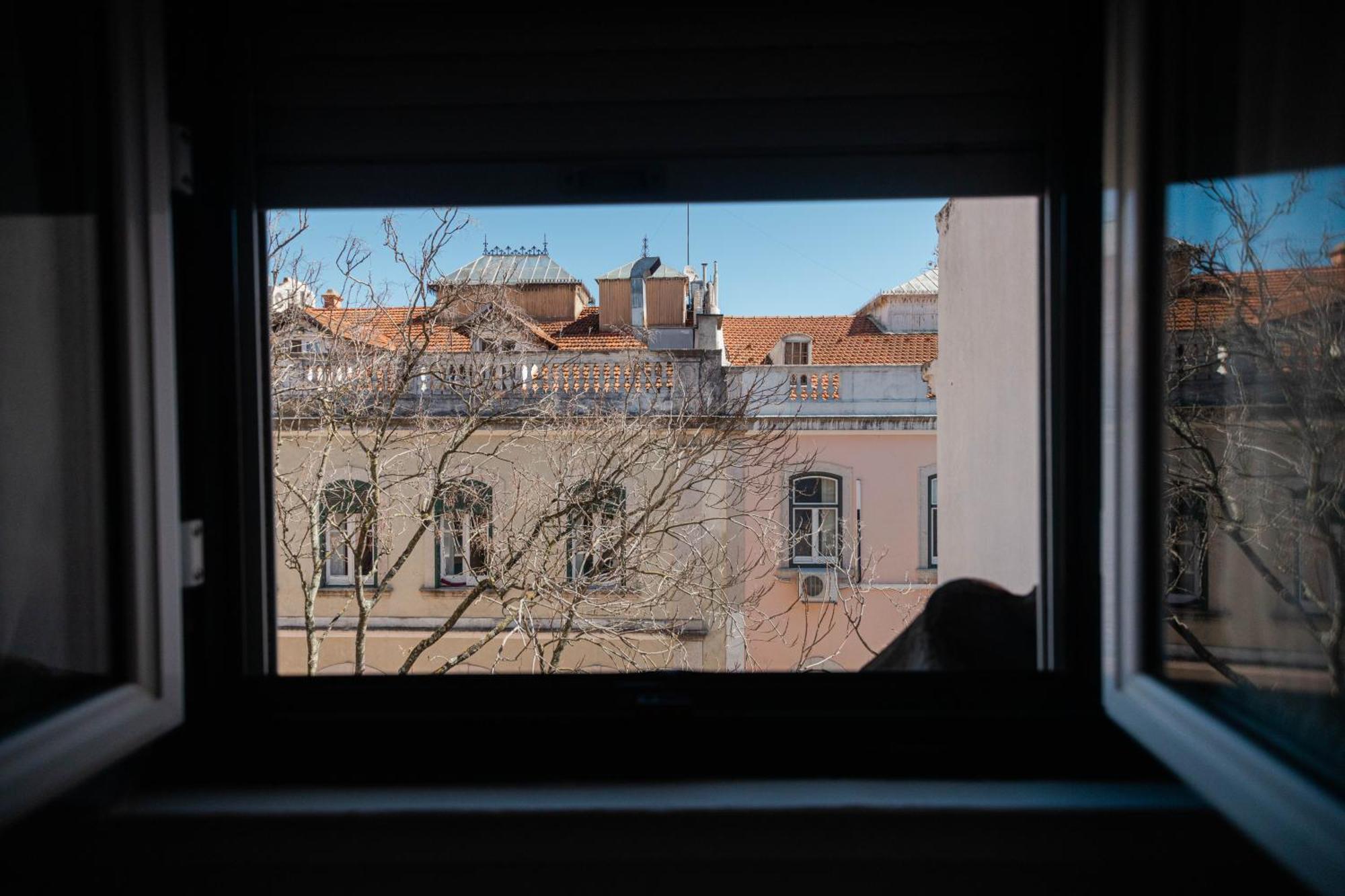 Local House * Lisbon