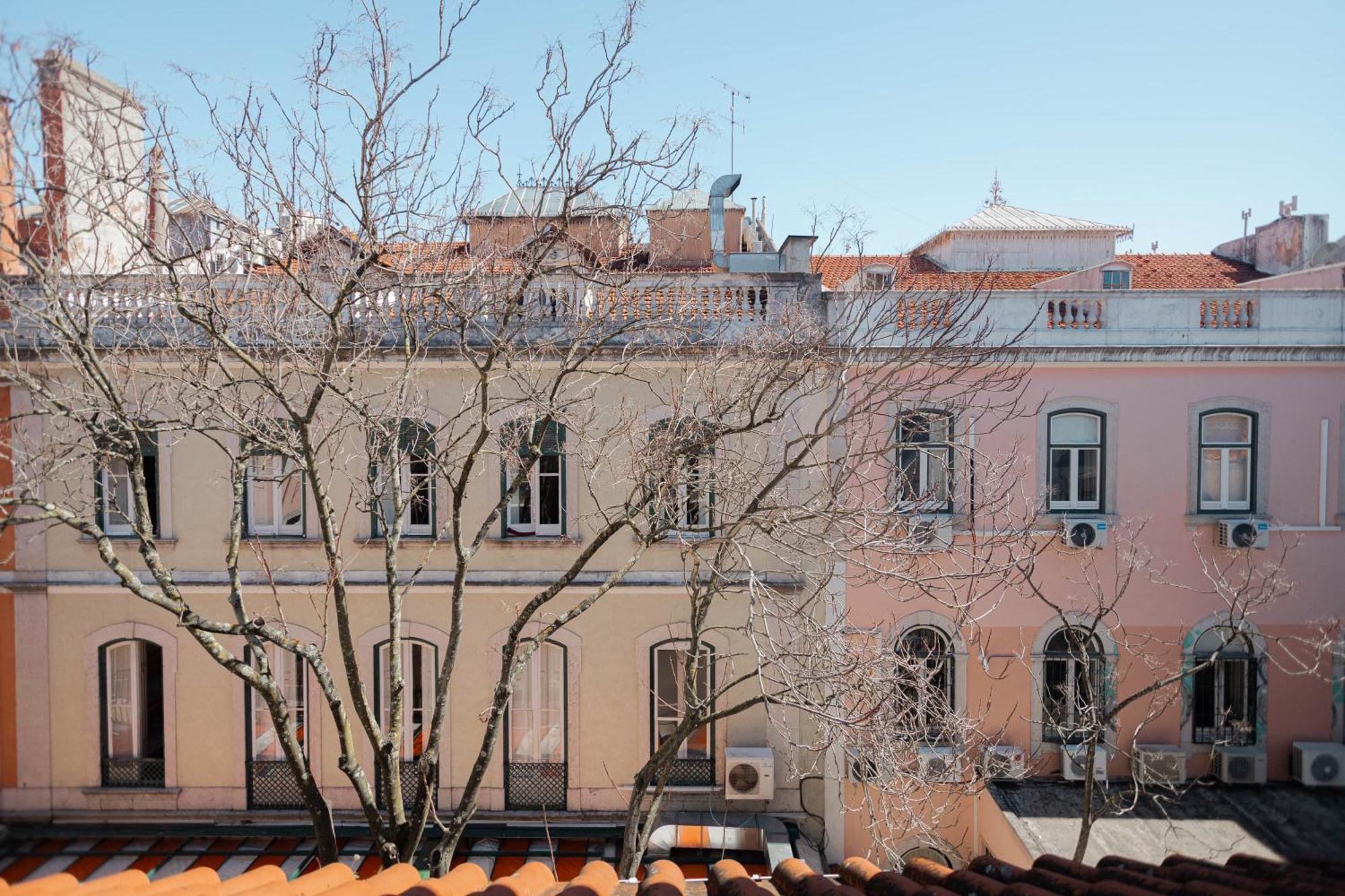 Local House Guest house Lisbon
